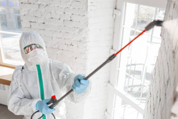 Best Asbestos and Lead Testing During Mold Inspection  in Isle Of Palms, SC