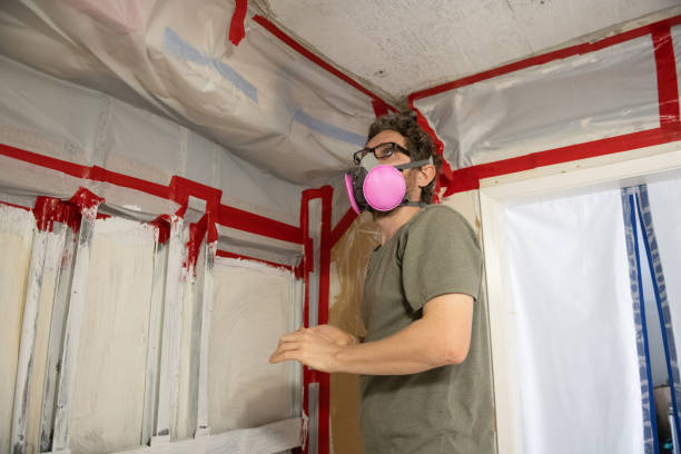 Best Air Quality Testing for Mold Spores  in Isle Of Palms, SC