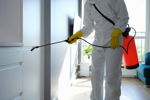 Mold Remediation for Rental Properties in Isle Of Palms, SC
