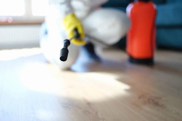 Best Commercial Mold Inspection  in Isle Of Palms, SC