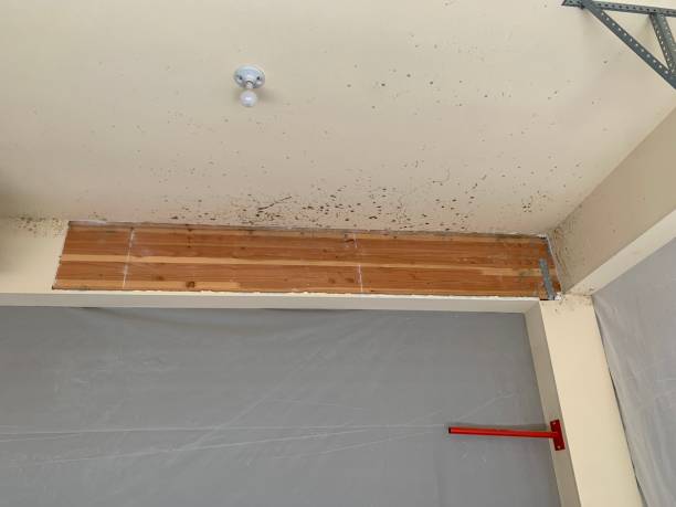 Best Indoor Air Quality Assessment  in Isle Of Palms, SC