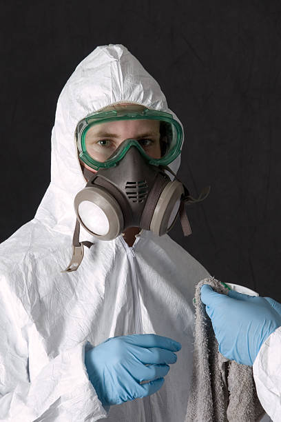 Best Mold Remediation for Healthcare Facilities  in Isle Of Palms, SC